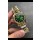 Rolex Day Date Super Clone Yellow Gold Green Dial Diamonds Numerals Watch 36MM - 1:1 Mirror Quality